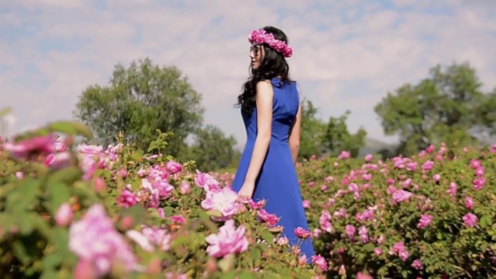 ISPARTA GÜL HASADI…